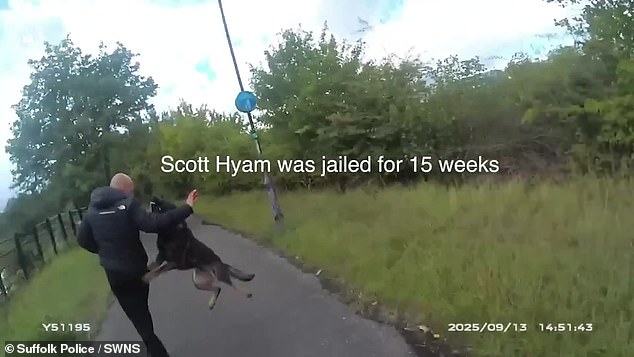 He was later tracked down by police dog Thor and an officer after initially resisting arrest