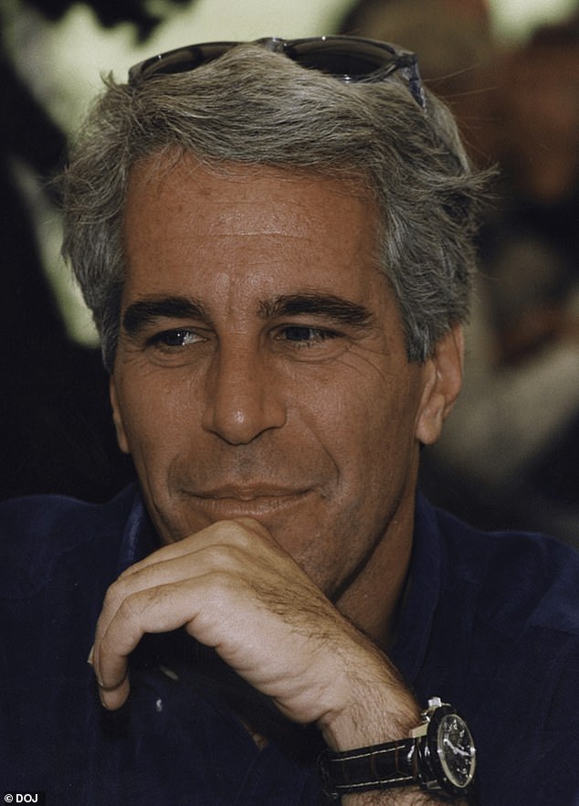 Pictured: Jeffrey Epstein