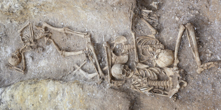 Haunting Viking-era 'execution pit' stuffed with bodies found in UK including 'extreme' GIANT with 'perforated skull'