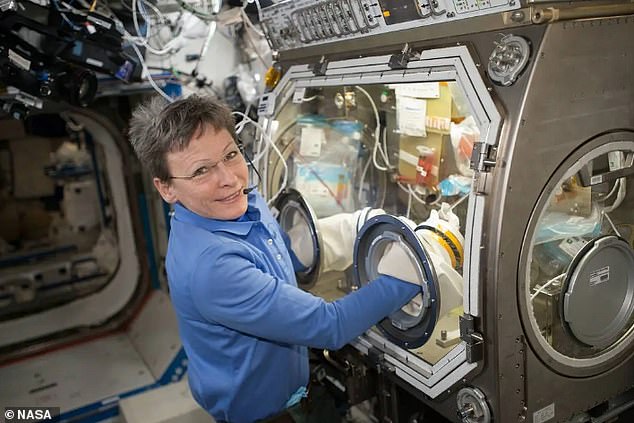 NASA astronaut Peggy Whitson pauses for a photo while working inside the Microgravity Sciences Glovebox. Experts say various pieces of apparatus used in biological experiments on the ISS are comparable to equipment found in an IVF laboratory on Earth