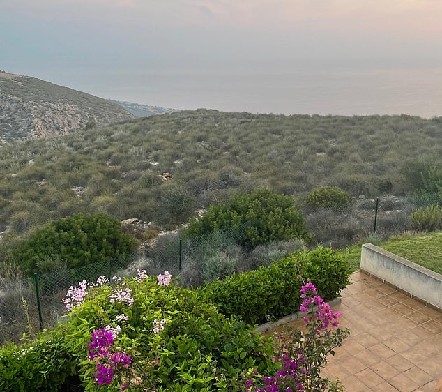 Pictured: A view from one of the residents' patios - the rolling hills have since been overshadowed by a huge JCB digger