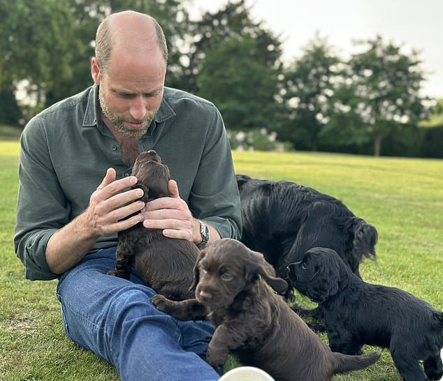 The Prince of Wales is photographed earlier this year with his dog Orla - and three other puppies