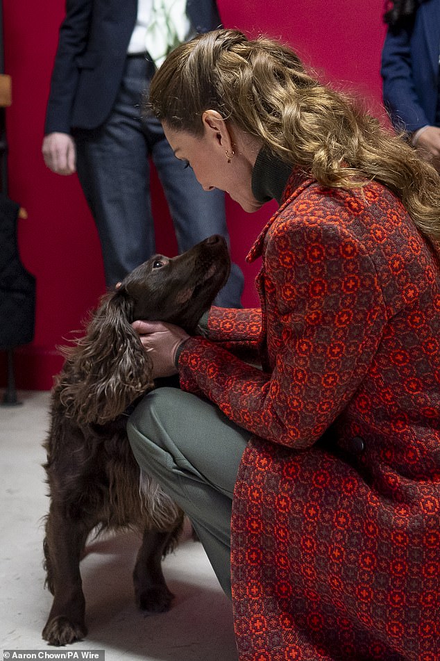 Pictured: The Princess of Wales met dog Barney yesterday during a visit to Hiut Denim, a family-owned company based in Cardigan