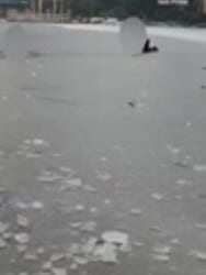 Moment HERO dad dives into freezing lake to save stranger’s son