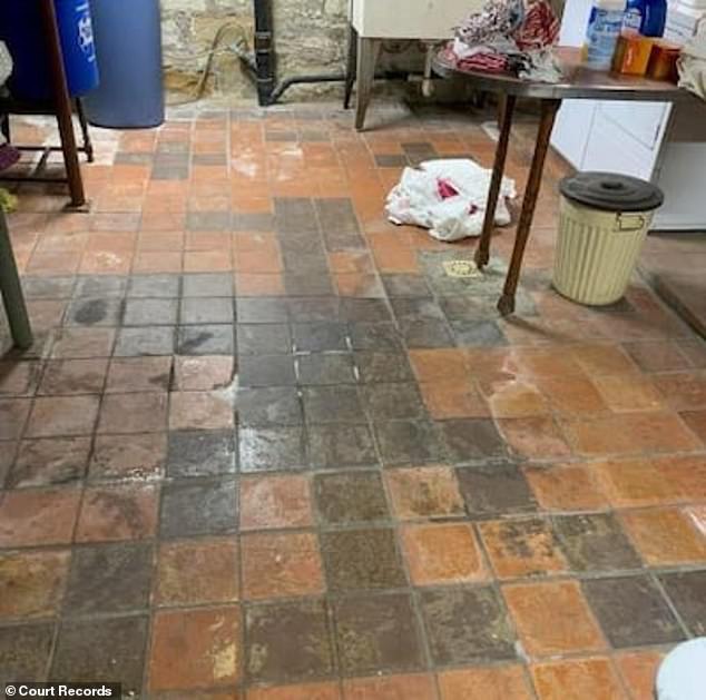 The couple, Daniel and Lynne Rae Wentworth, said they were 'mortified' to discover a Nazi eagle (pictured) and a swastika in the flooring tiles of their basement