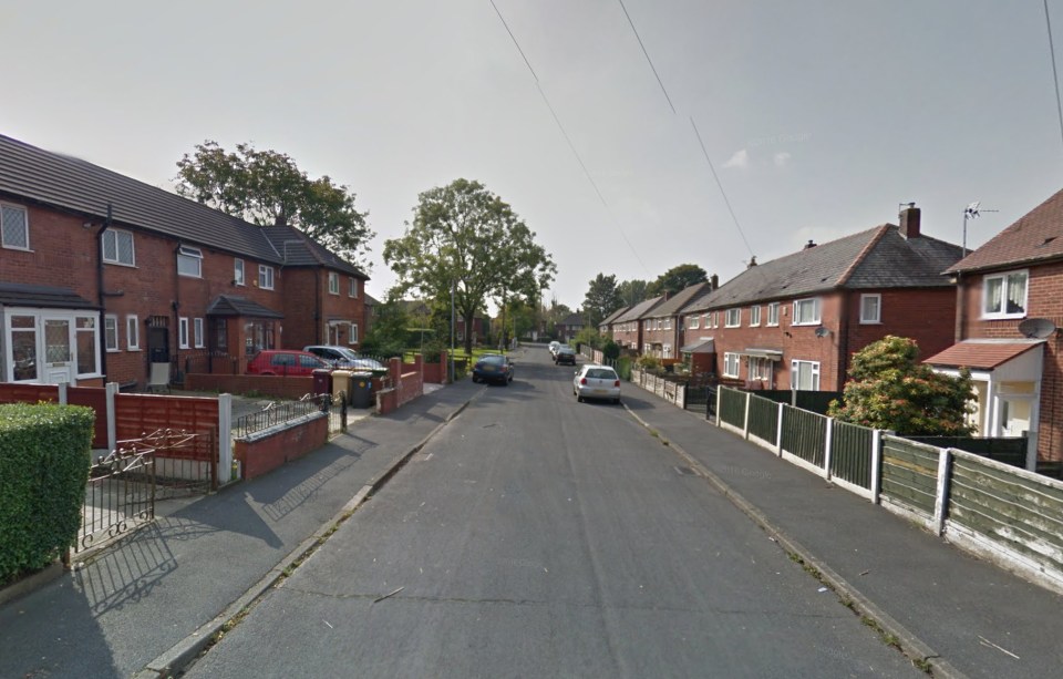 Residential street with houses, cars, and trees.