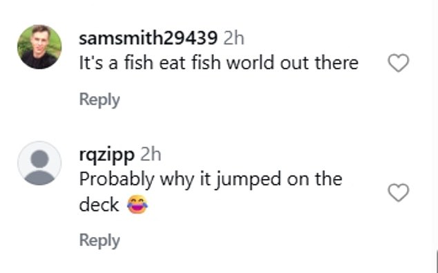 Paying reference to his hit 7 Days, a fan joked: 'Caught a fish on Monday, threw it back in on Tuesday'