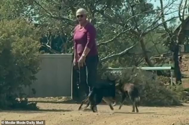 Grandmother Josie Murray  15237997