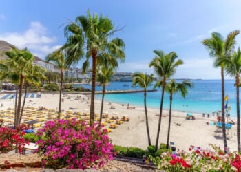 ‘Crooked’ police officer in top holiday destination accused of pocketing £120k from tourists for bogus traffic offences