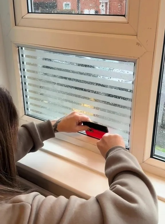 NINTCHDBPICT001056682399