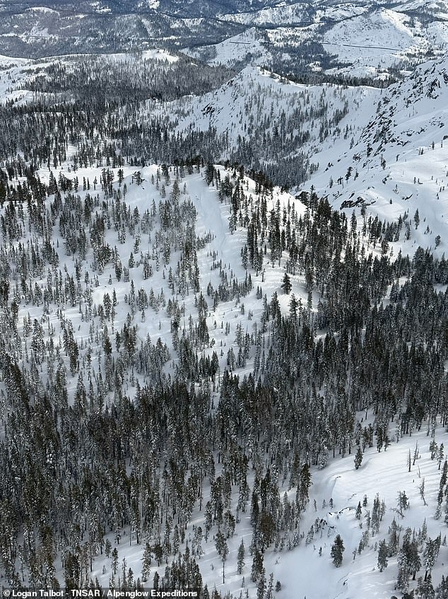 This is the slope where the Perry's Peak Avalanche occurred on Tuesday, February 17. The photo was taken three days after the avalanche on February 20. By that time, the storm had covered up any signs of the avalanche or its debris. The photo was taken prior to mitigation efforts on the slope