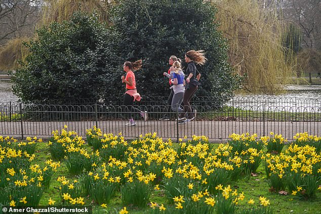 Joggers run past the spring daffodils at St James's Park in London on Monday morning