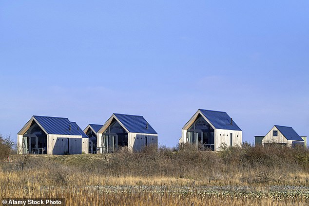 Beach houses in dunes at Molecaten Park Waterdunen, camping and holiday park along the Western Scheldt at Breskens, Zeeland, Netherlands