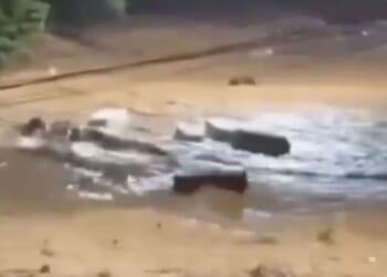Harrowing moment dozens of COFFINS are washed away along road during deadly flash floods after spate of storms