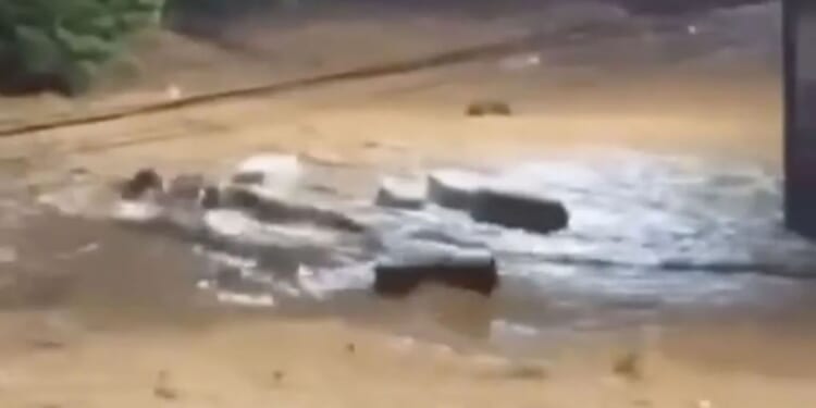 Harrowing moment dozens of COFFINS are washed away along road during deadly flash floods after spate of storms