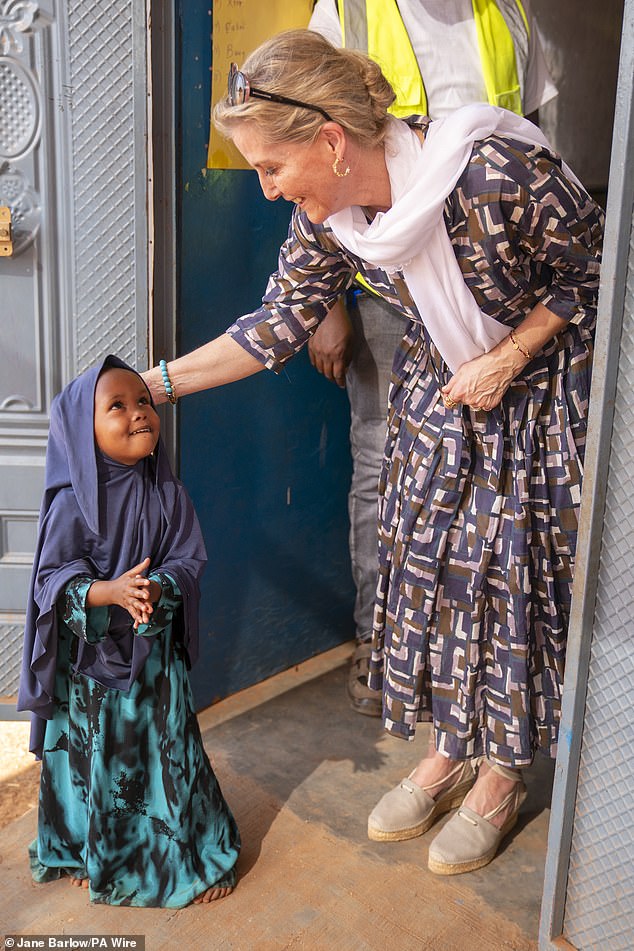 As a champion of the UN's Women, Peace and Security Agenda, Sophie has often focused her royal charity work around the importance of raising awareness of SGBV and the need for greater access to key resources