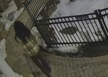 Chilling moment carer 'disguises himself as woman before executing millionaire philanthropist' as cops find wigs & mask