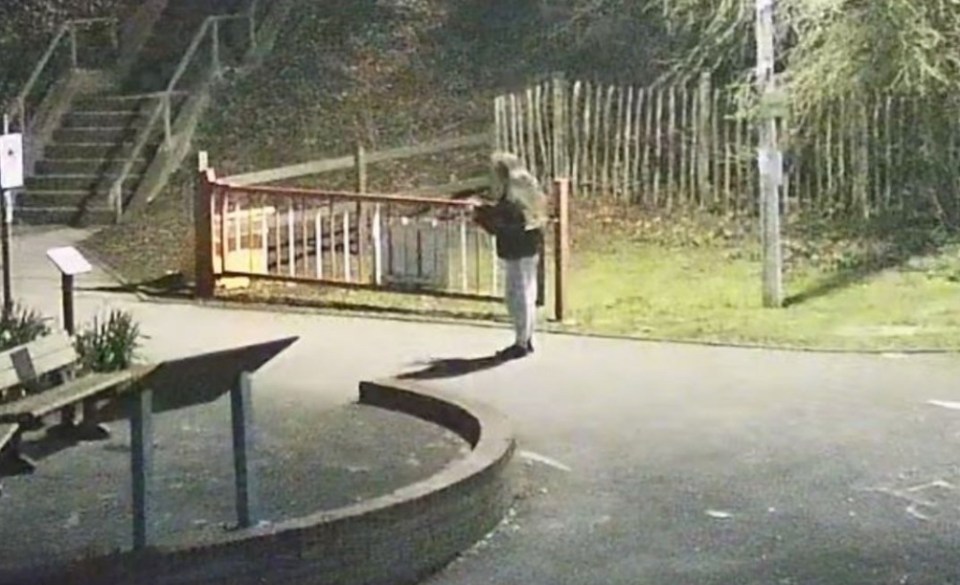 CCTV image of a young person with light-colored hair standing near a metal fence, with stairs and trees in the background.