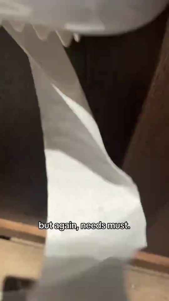 Hand pulling toilet paper from a roll with text "but again, needs must."