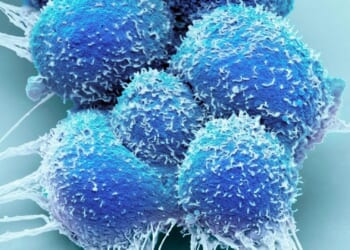 Drug shrinks tumours in patients with untreatable prostate cancer while dodging side effects like erectile dysfunction