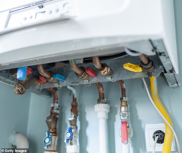 Tracey¿s symptoms were due to her being slowly poisoned by carbon monoxide gas leaking from a faulty boiler in her bedroom