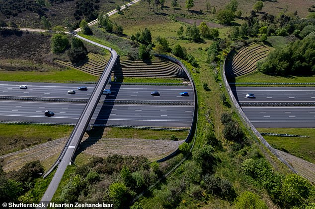 The Netherlands has various 'eco passages' for animals that run over the top of busy motorways