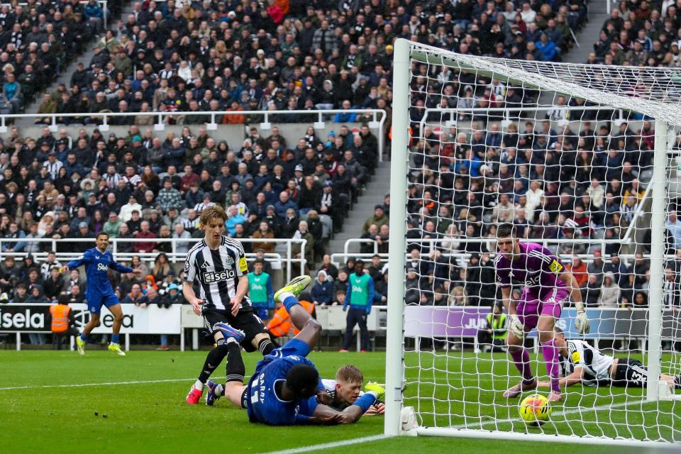 Newcastle United v Everton - Premier League