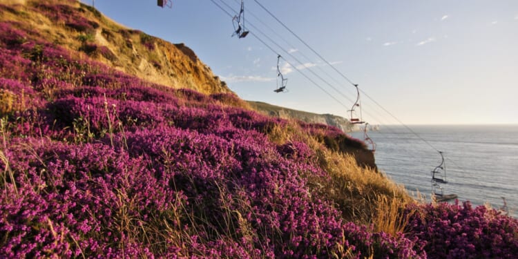 Go off grid in plush safari tents & stargaze for days on this island gem