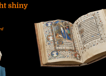 Bright shiny art | Rufus Bird