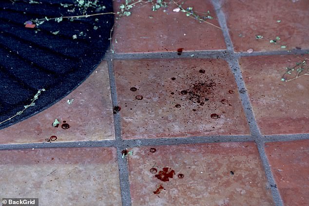 Blood was spotted on the walkway of Nancy's $1million Tucson, Arizona home