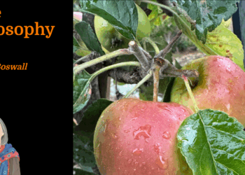 Core philosophy | Marian Boswall