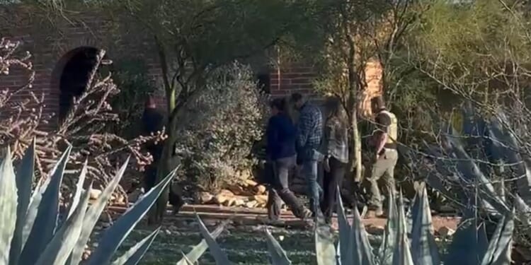 Disturbing twist in Nancy Guthrie abduction as cops return to search woodland behind her home