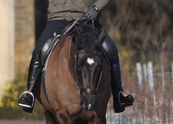 Andrew Mountbatten-Windsor waves to members of the public as he is seen horse riding in Windsor on Saturday morning