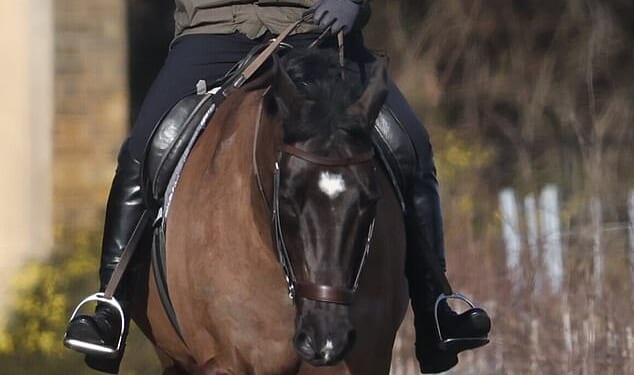 Andrew Mountbatten-Windsor waves to members of the public as he is seen horse riding in Windsor on Saturday morning