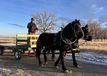 Allen Hatch, 53, took his horses Coal and Onyx into Powell, Wyoming, to pick up horse feed and decided to pick up a burger and fries at McDonald's