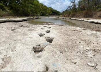 A new proposal to build a huge AI data center near the 100 million year old Dinosaur Valley State Park in Texas has sparked outrage over claims it could destroy the historic site