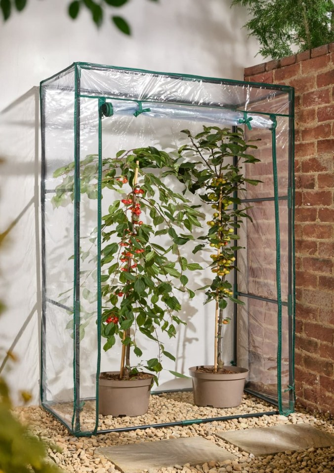 Rolson Grow House with two potted plants inside.
