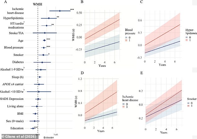 The above plot, left, shows predictors for white matter hyperintensities ranked by their impact. The four graphs, right, show the WMH accumulation impacted by blood pressure, high cholesterol, heart disease and smoking status