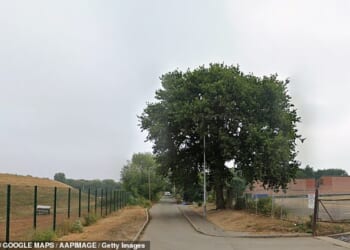 A 46-year-old man has died after a fatal collision on Folly Lane in East London