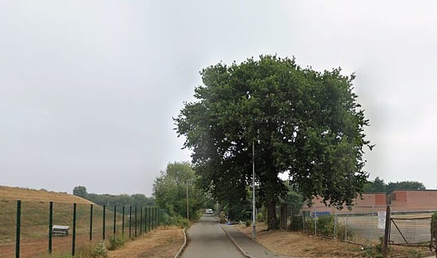 A 46-year-old man has died after a fatal collision on Folly Lane in East London