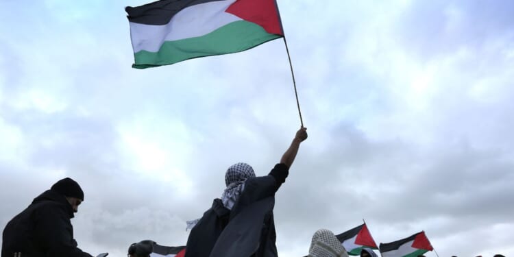 A protester waves a Palestinian flag while another holds a banner saying "Shut Elbit Down" during the demonstration on Jan. 23, 2026, in Sandwich, United Kingdom.