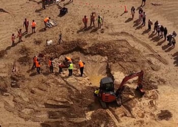 A family’s beach stroll in December 2025 led to one of Australia’s most significant fossil finds