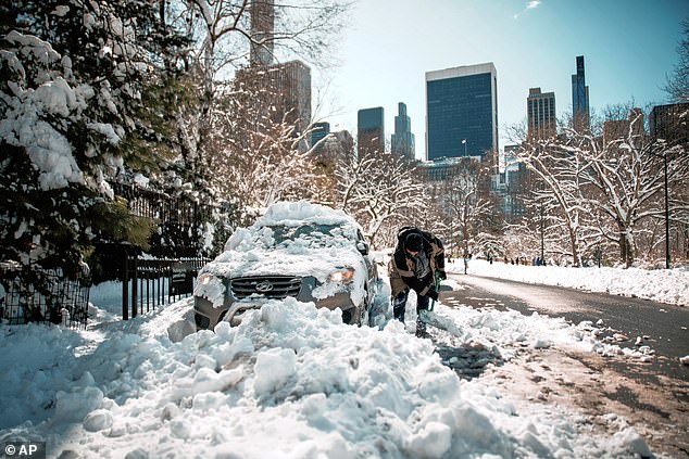 New York City has seen a particularly cold winter this year. A man shovels snow to free his car after 20 inches blanketed the city last weekend