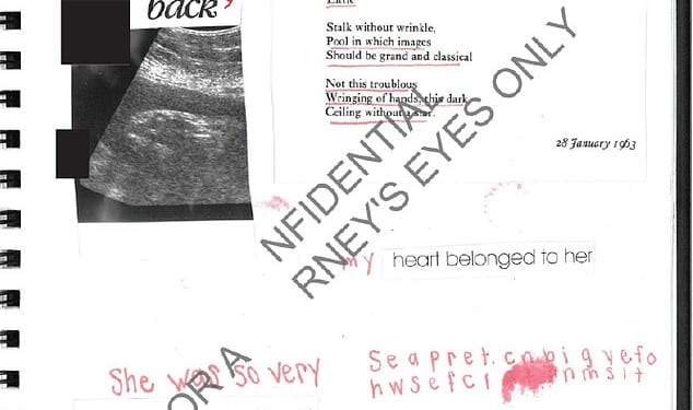 Buried in the three million documents is a diary entry of one of Epstein's victims