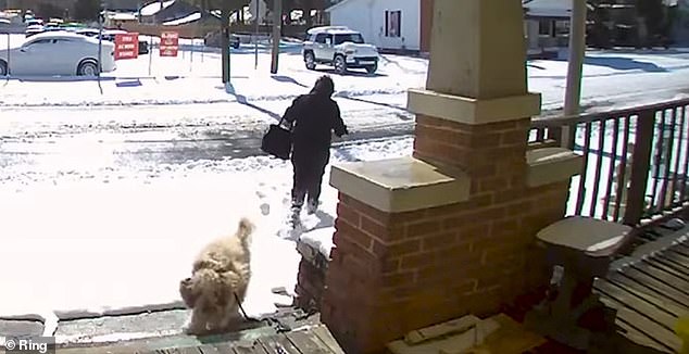 A woman, later identified as Ashley Baker, is seen dumping a matted stray pup on a stranger's front porch after a subzero snowstorm