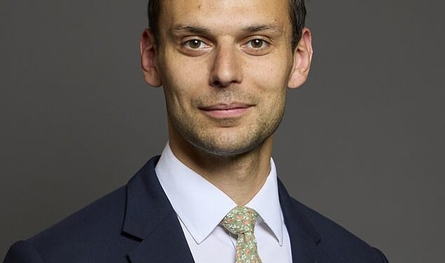 Josh Simons (pictured) has resigned as a Cabinet Office minister, saying he had 'become a distraction from this Government's important work'
