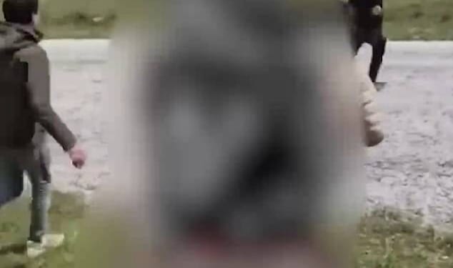 Footage shared by a suspected smuggler of migrants running through a patch of woodland during their journey to the UK