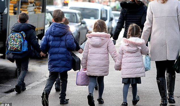 Labour's push to lift the two-child benefits cap 'will hand £25,000 windfalls' to thousands of Britain's biggest jobless families