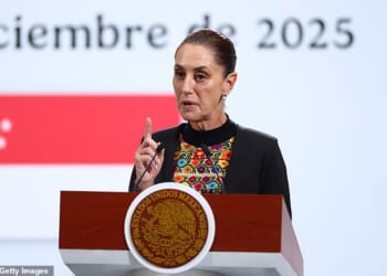 Mexican President Claudia Sheinbaum said on Tuesday she is considering legal action following a comment by Elon Musk that alleged she was connected to drug cartels