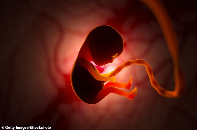 The combination of low gravity and high radiation would exert unknown effects on developing human embryos (file image)